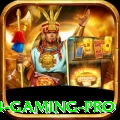 bet4454 Gaming Pro