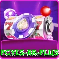 pgyes BR Plus